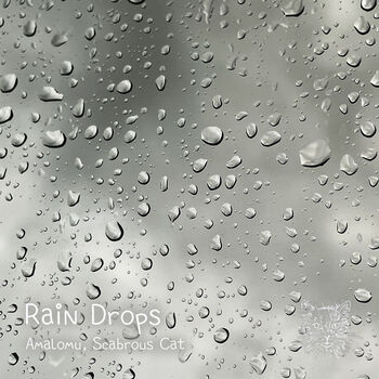 Rain Drops