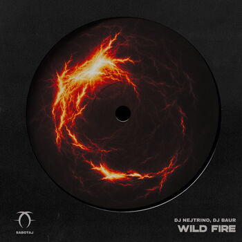 Wild Fire (Extended Mix)