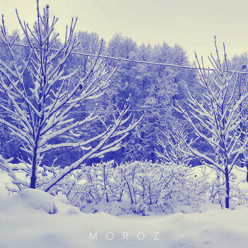 MOROZ