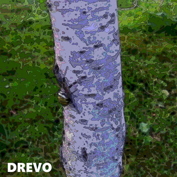 DREVO