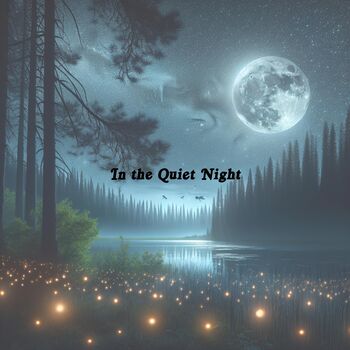 In the Quiet Night