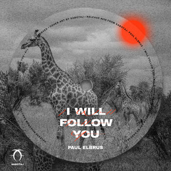 I Will Follow You