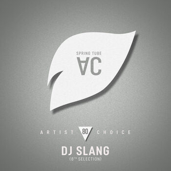 Artist Choice 080: DJ Slang (8th Selection)