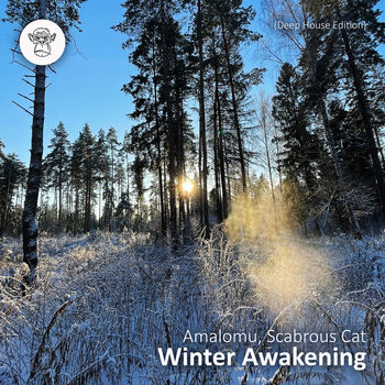 Winter Awakening