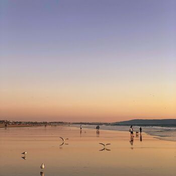 Children of the Sunset