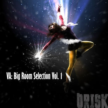 Big Room Selection Vol.1