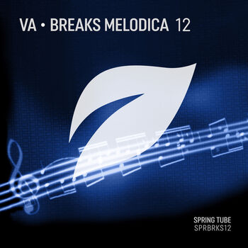 Breaks Melodica, Vol. 12