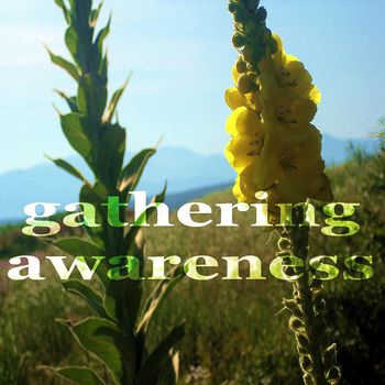 Gathering Awareness