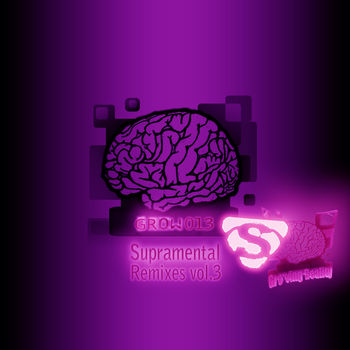 Supramental Remixes Vol.3