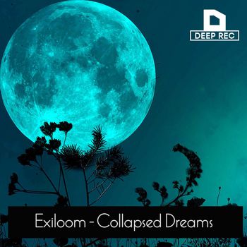 Collapsed Dreams