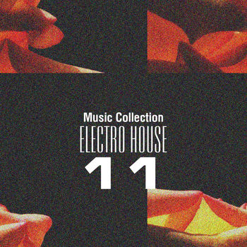 Music Collection. Electro House 11