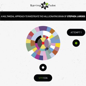 A Multimodal Approach to Investigate the Hallucinating Brain of Stephen J. Kroos (Attempt 1)