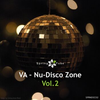 Nu-Disco Zone, Vol. 2