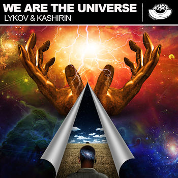 We Are The Universe