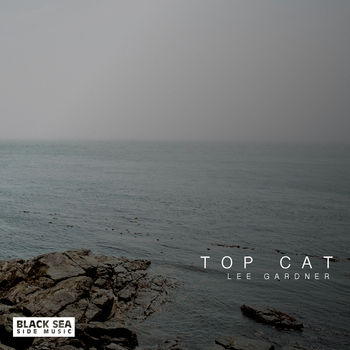 Top Cat