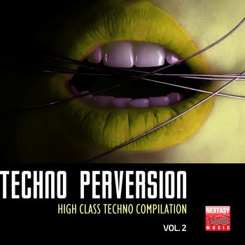 Techno Perversion, Vol. 2 (High Class Techno Compilation)