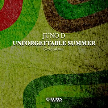 Unforgettable Summer