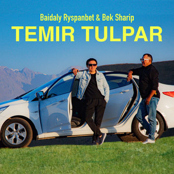 Temir tulpar